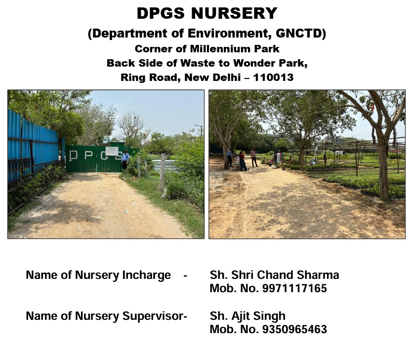 DPGS Nursery